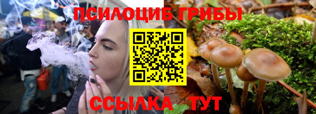 Псилоцибиновые грибы Cubensis Семилуки